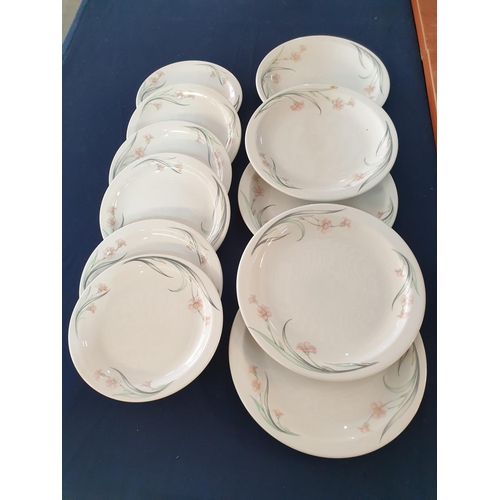 302 - Sampsonite Churchill Super Vitrified Plates with Floral Pattern inc; 5 x Dinner Plates & 6 x Side Pl... 