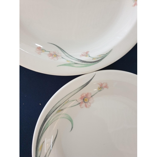 302 - Sampsonite Churchill Super Vitrified Plates with Floral Pattern inc; 5 x Dinner Plates & 6 x Side Pl... 