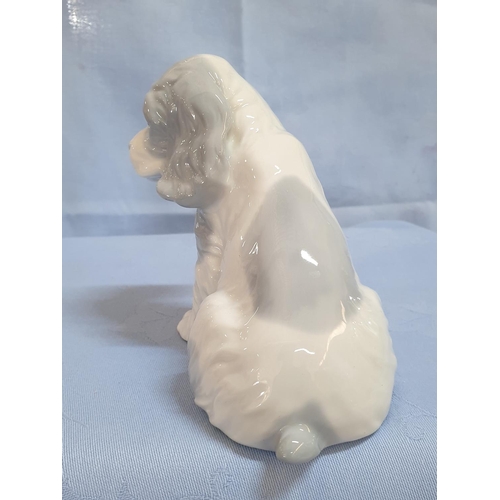 285 - Spaniel Puppy Porcelain Figurine, Made in Spain (H:11.5cm)