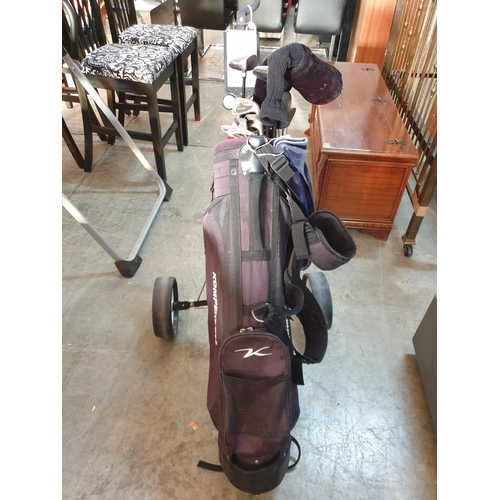 223 - Gold Club Set with Bag and Trolley