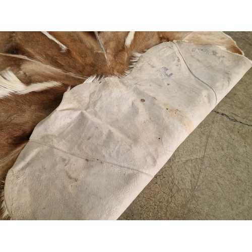 303 - Kudu Skin / Hide Carpet (African Antelope), (Approx. Ø: 130cm)