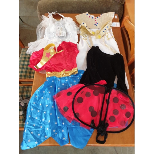 622 - 4 x Children's Carnival Costume, Size 2-4 Years (Ladybug, Snow White, Fairy and Other)