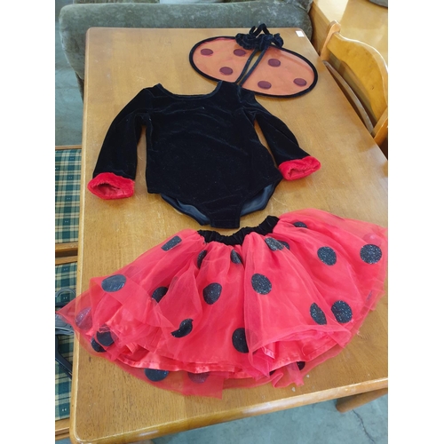 622 - 4 x Children's Carnival Costume, Size 2-4 Years (Ladybug, Snow White, Fairy and Other)