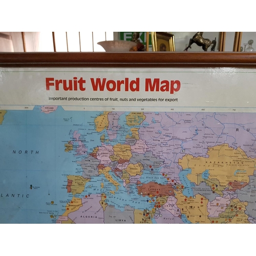 641 - Large International Fruit World Map in Wooden Frame of Production Centres of Fruit, Nuts and Vegetab... 