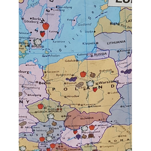 641 - Large International Fruit World Map in Wooden Frame of Production Centres of Fruit, Nuts and Vegetab... 