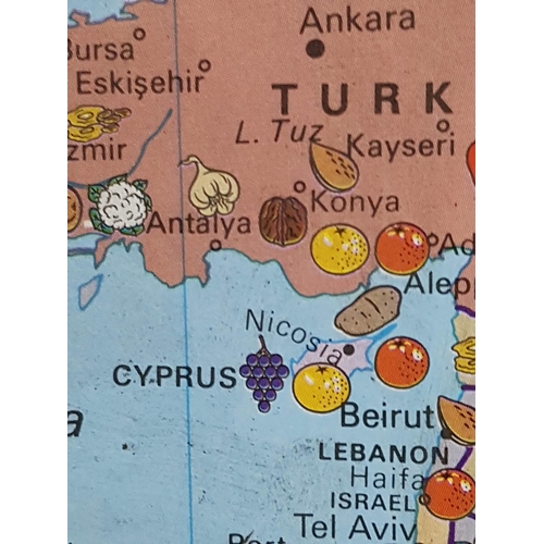 641 - Large International Fruit World Map in Wooden Frame of Production Centres of Fruit, Nuts and Vegetab... 