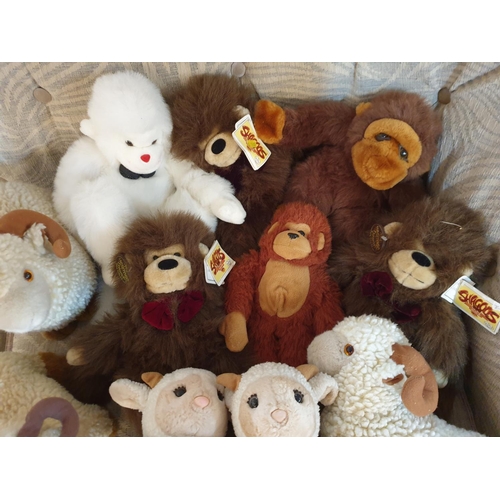 698 - 11 x Cuddly Plush Chimps and Sheep Together with 2 x Small Sheep Decorations