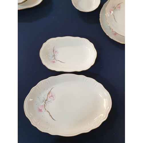 274 - Wunsiedel Bavaria (Germany) Porcelain Dinner Set inc; 6 x Dinner Plates, 6 x Soup Plates, Large Oval... 