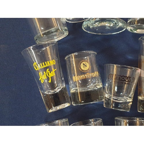 305 - Collection of Assorted Collectables Shot Glasses, Vodka Glasses, Wine Glasses etc (15pcs)