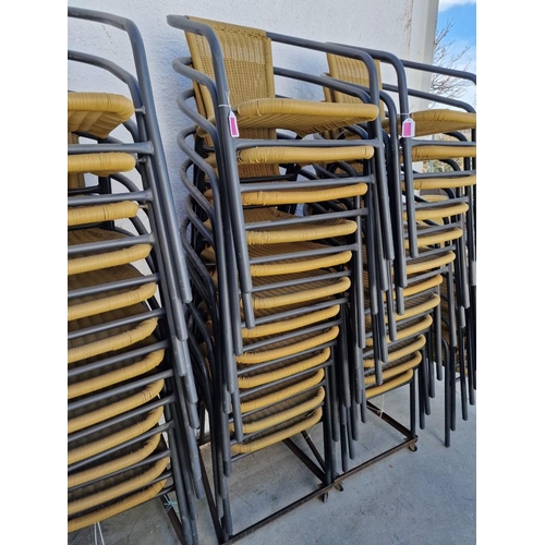 111 - Set of 12 x Metal and Ratan Garden Arm Chairs / Bistro Chairs, Stackable, Together with Base / Stand... 