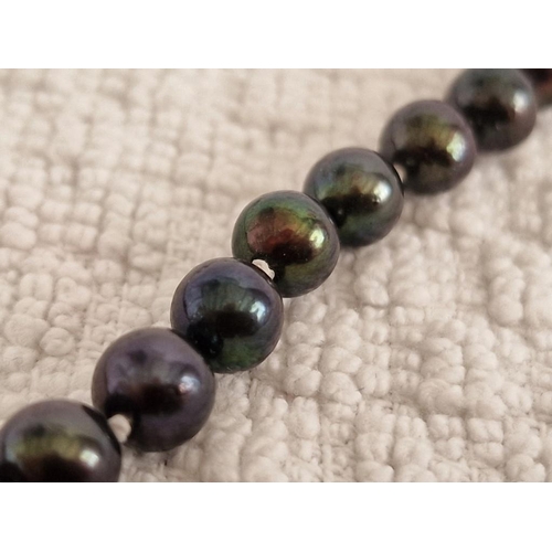 66 - Black Tahitian Pearl(?) Necklace with Gold (585/14ct) Clasp, Individually Knotted (Approx. 6-7mm, L:... 