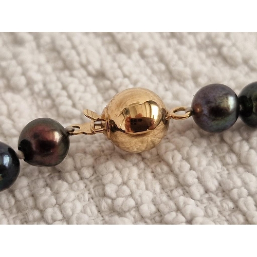 66 - Black Tahitian Pearl(?) Necklace with Gold (585/14ct) Clasp, Individually Knotted (Approx. 6-7mm, L:... 