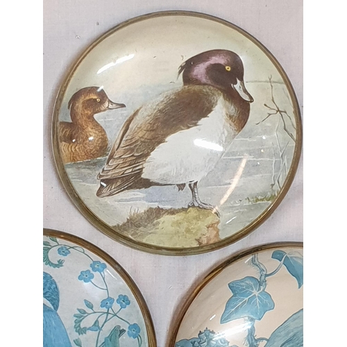 245 - Collection of Vintage Hand Cast Glass Paperweight with Birds (3 x Round Ø: 9cm each) 