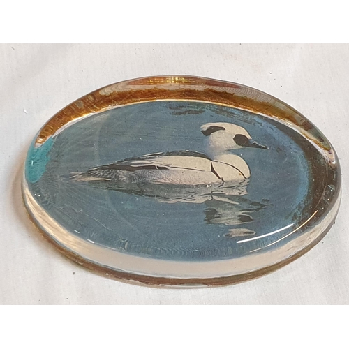 245 - Collection of Vintage Hand Cast Glass Paperweight with Birds (3 x Round Ø: 9cm each) 