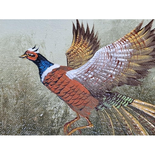 281 - Framed Oil on Canvas of Pheasant in Flight, Signed Lower Left (Unknown Artist), (Approx. 45 x 36cm)