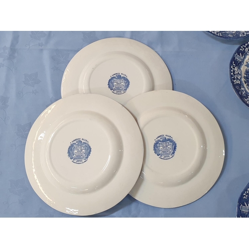 167 - 9 x Blue and White Plates Depicting American Historical Scenes; 1 x 