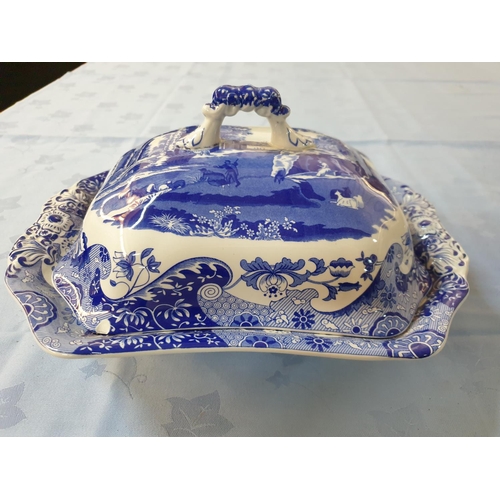 46 - Spode Porcelain 