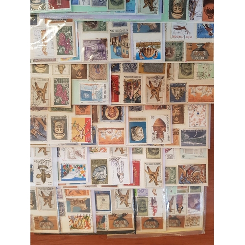 168 - Huge Collection of Approx 500pcs Vintage and Retro Cyprus Stamps (40x Pages, Approx 15pcs each)