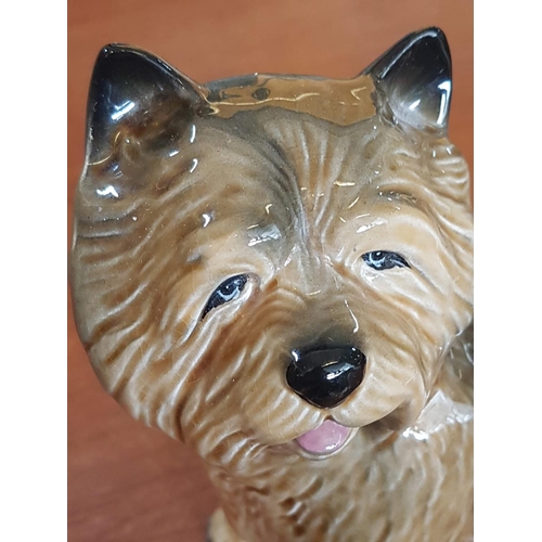 305 - Porcelain Dog Figurine (Approx 19 x 20cm)