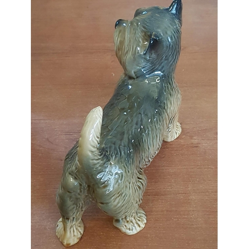 305 - Porcelain Dog Figurine (Approx 19 x 20cm)