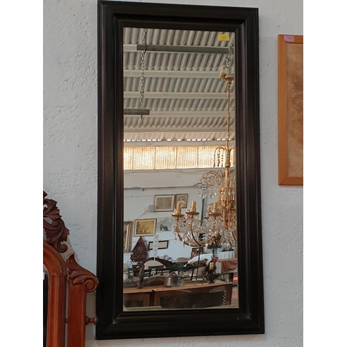 733 - Large Rectangular Mirror in Dark Frame (58 x 116cm)