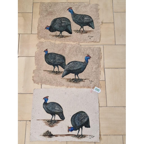 338 - 3 x Paintings on Canvas of Blue Helmeted Guineafowl Birds, (Approx. 50 x 38cm), Unframed, (3)