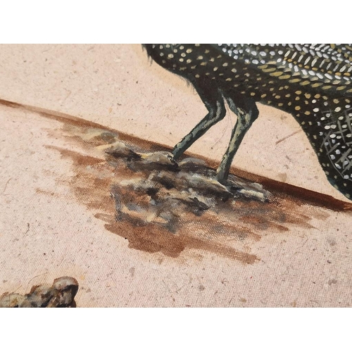 338 - 3 x Paintings on Canvas of Blue Helmeted Guineafowl Birds, (Approx. 50 x 38cm), Unframed, (3)