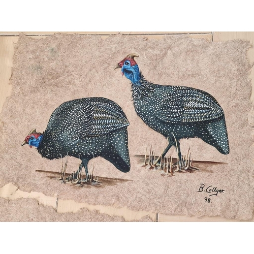 338 - 3 x Paintings on Canvas of Blue Helmeted Guineafowl Birds, (Approx. 50 x 38cm), Unframed, (3)