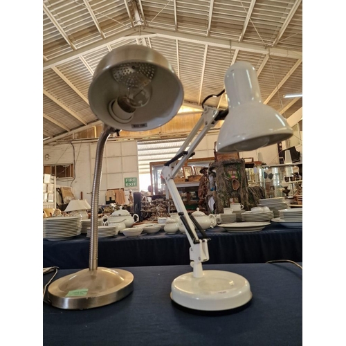 534 - 2 x Desk / Table Lamps, (2)