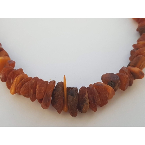 79 - Raw Amber Chip Necklace (L:42cm)