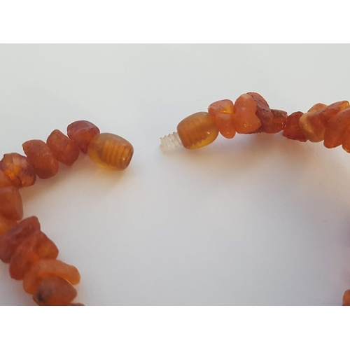 79 - Raw Amber Chip Necklace (L:42cm)