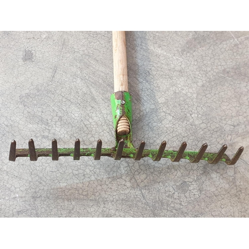 251 - 3 x Garden Tools; Garden Claws, Metal Leaf Rake and One Other Rake