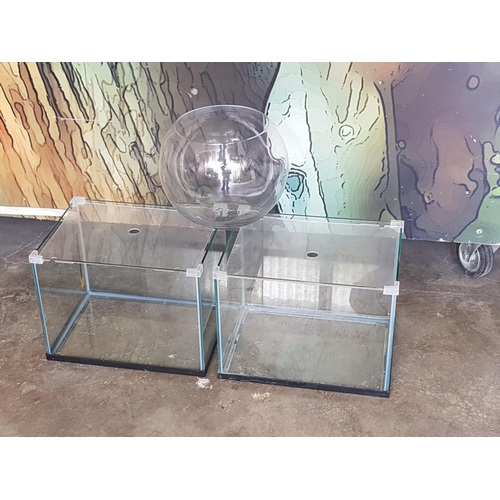 427 - 3 x Small Aquariums (Glass), (1 x Round Ø20cm x H:20cm) and 2 x Rectangular (31.5 x 23.5 x 23cm each... 