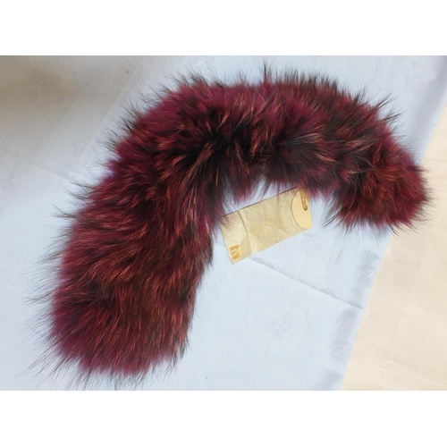 800 - Raccoon Fur Collar in Tinted Purple Colour