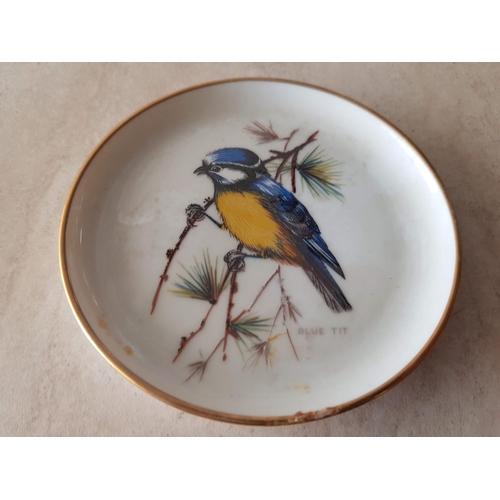 89 - Set of 4 x Kaiser, West Germany  Bird Plate Coasters inc; Great Tit, Goldfinch, Crested Tit and Blue... 