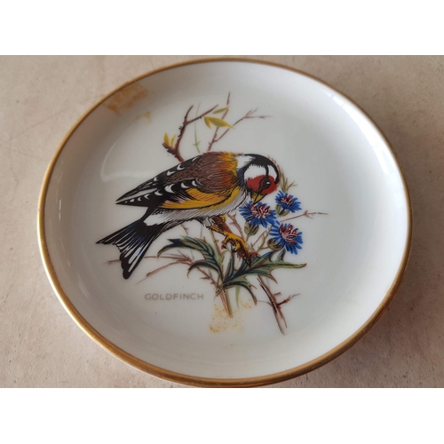 89 - Set of 4 x Kaiser, West Germany  Bird Plate Coasters inc; Great Tit, Goldfinch, Crested Tit and Blue... 