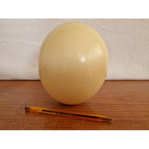 162 - Ostrich Egg