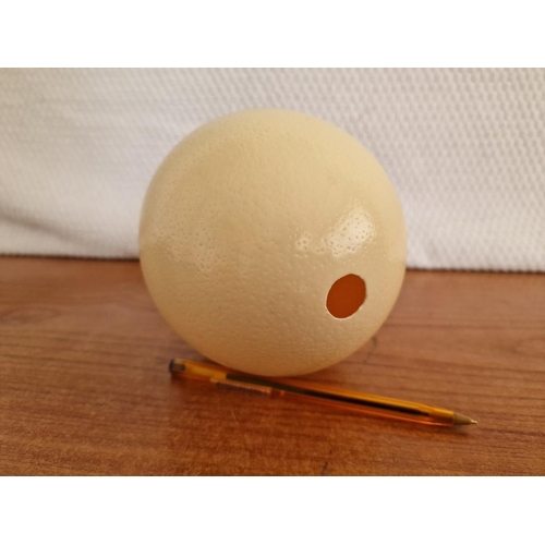 162 - Ostrich Egg