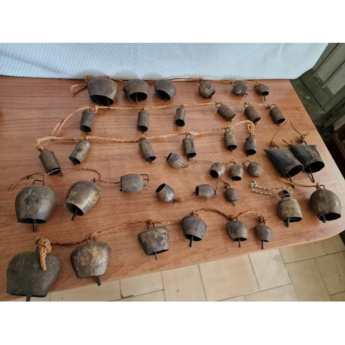 173 - Large Collection of Assorted Vintage Cow Bells on Cord