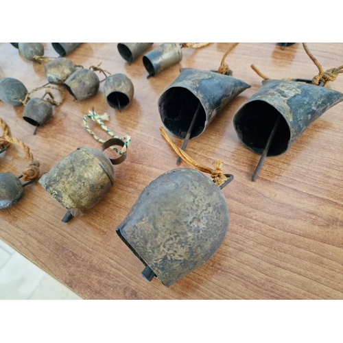 173 - Large Collection of Assorted Vintage Cow Bells on Cord