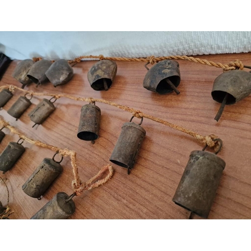 173 - Large Collection of Assorted Vintage Cow Bells on Cord