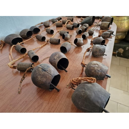 173 - Large Collection of Assorted Vintage Cow Bells on Cord