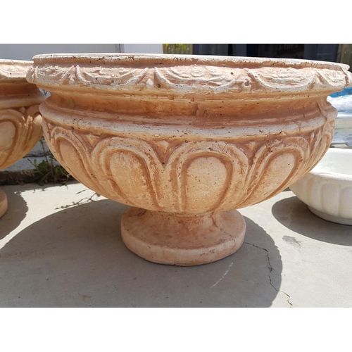 291 - Large Decorative Clay Plant Pot in Goblet Shape (Ø59cm x H:40cm)