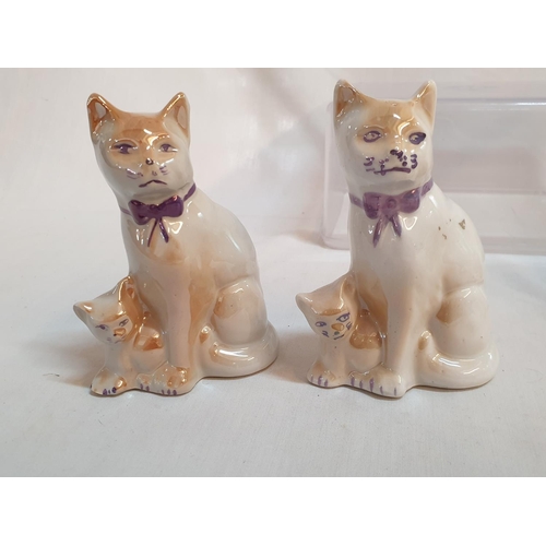 347 - Collection of Porcelain Cats Figurines, Made in Brazil (H:8cm- 11cm), (5)