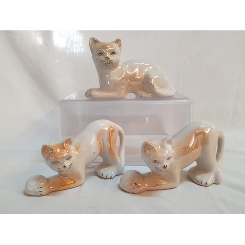 347 - Collection of Porcelain Cats Figurines, Made in Brazil (H:8cm- 11cm), (5)