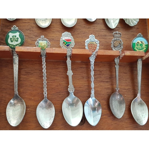 366 - Vintage / Retro Collectable Souvenir Spoons (12) Together with Wooden Display Wall Shelf (23 x 28cm)