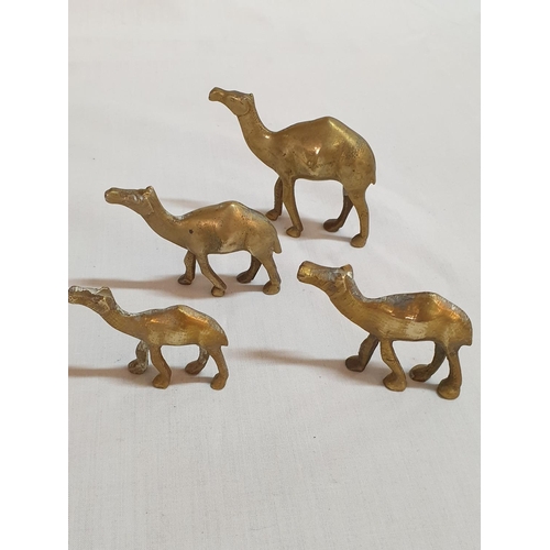 57 - 11 x Brass Camel Ornaments & Palm Tree (Approx. H:10cm), (12)