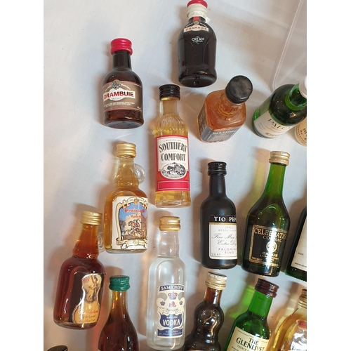 370 - Huge Collection of Alcohol Miniatures (Approx 50pcs)