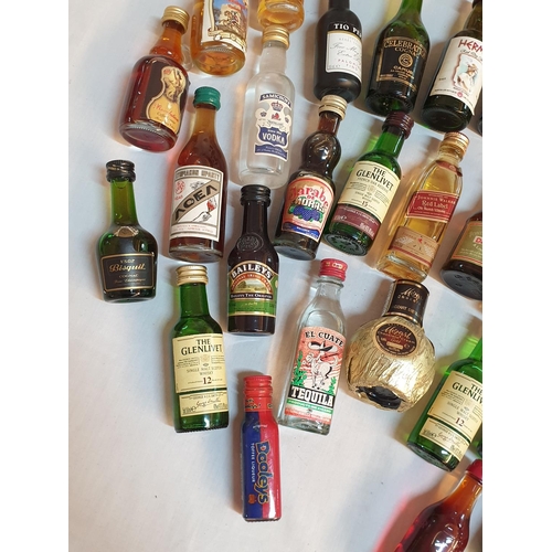 370 - Huge Collection of Alcohol Miniatures (Approx 50pcs)