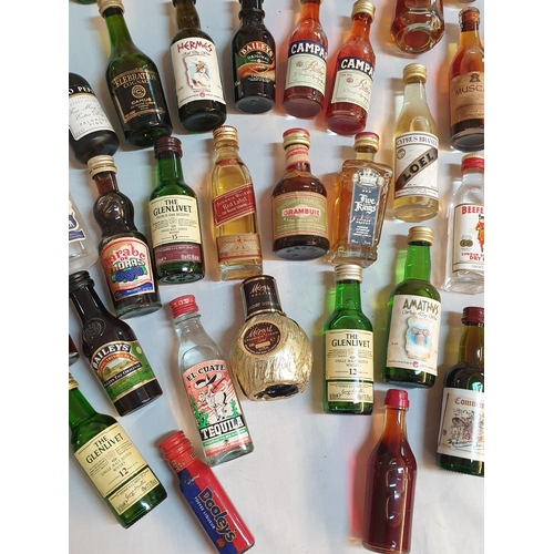 370 - Huge Collection of Alcohol Miniatures (Approx 50pcs)